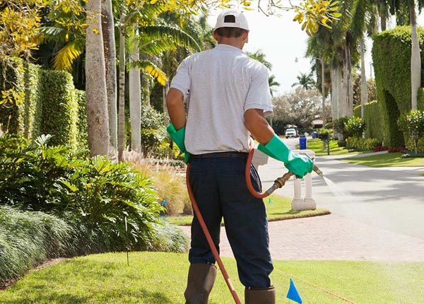 About Enfield Center NH Pest Control Pros
